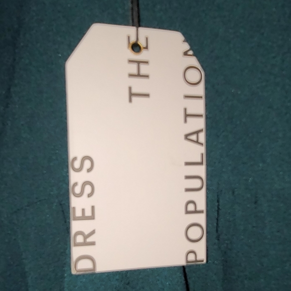 Dress The Population Pine Dress (Small) - Picture 8 of 9